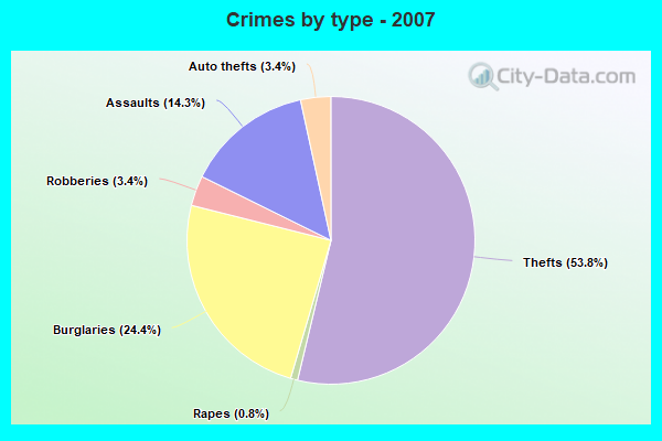 Crimes by type - 2007