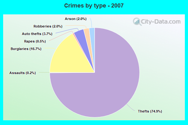 Crimes by type - 2007