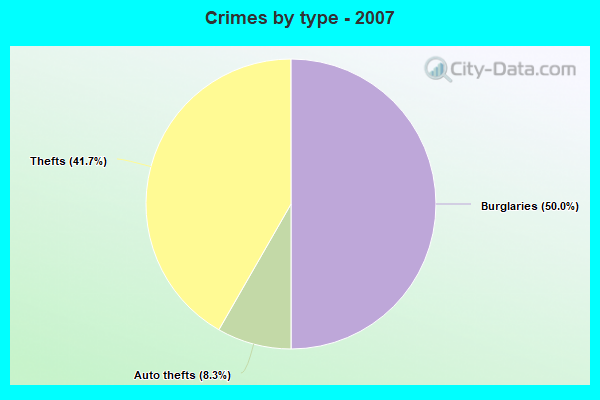 Crimes by type - 2007