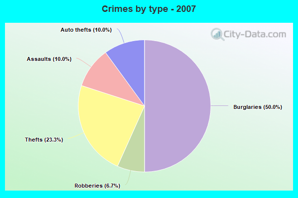 Crimes by type - 2007