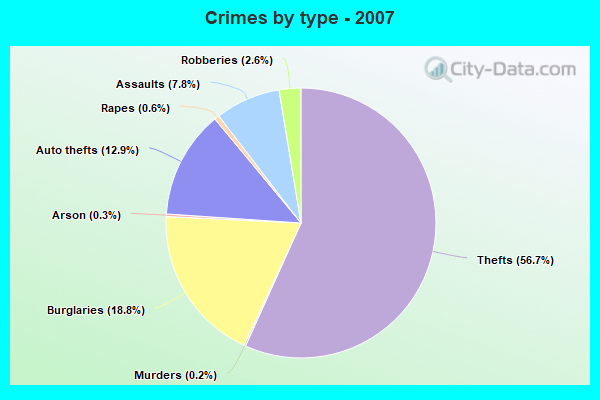 Crimes by type - 2007