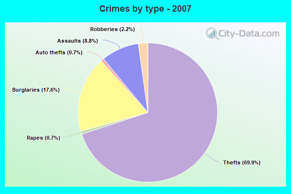 Crimes by type - 2007