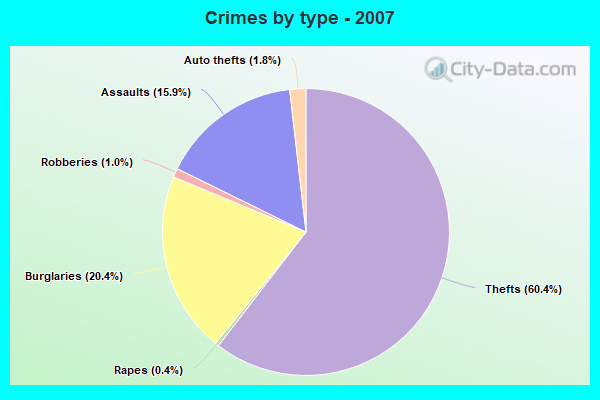 Crimes by type - 2007