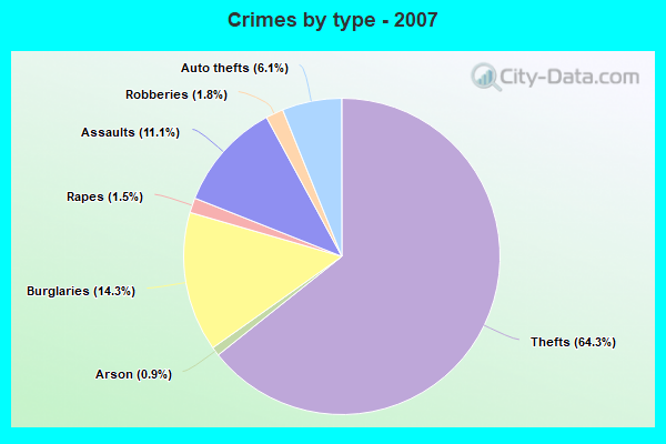 Crimes by type - 2007