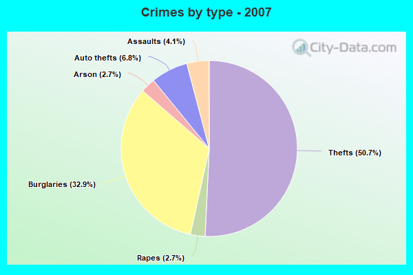 Crimes by type - 2007