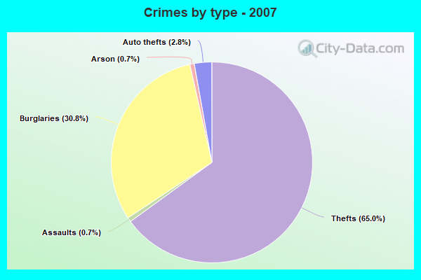 Crimes by type - 2007