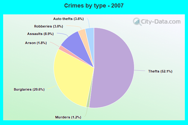 Crimes by type - 2007