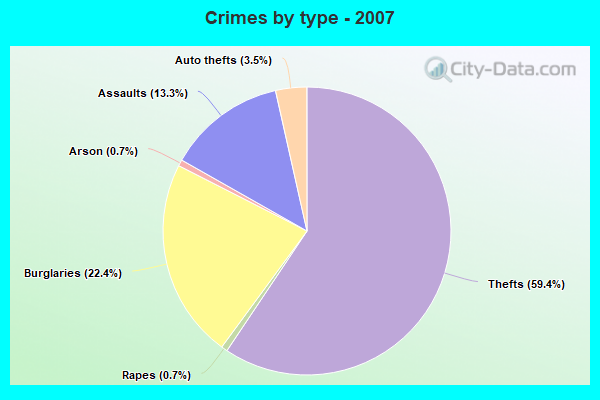 Crimes by type - 2007