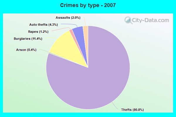 Crimes by type - 2007