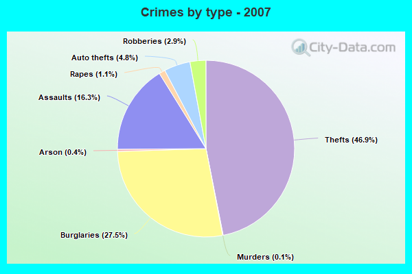 Crimes by type - 2007