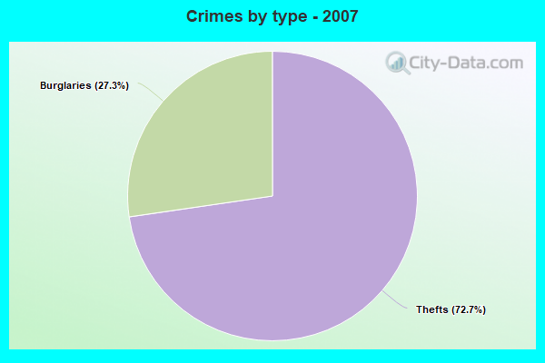 Crimes by type - 2007