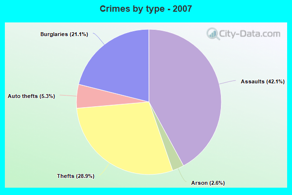 Crimes by type - 2007