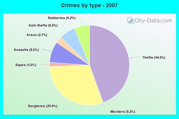 Crimes by type - 2007