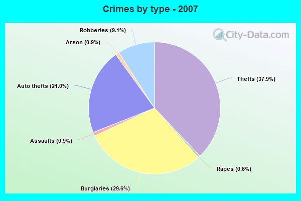 Crimes by type - 2007