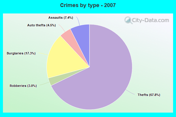 Crimes by type - 2007