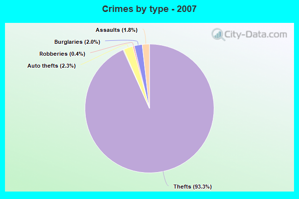 Crimes by type - 2007