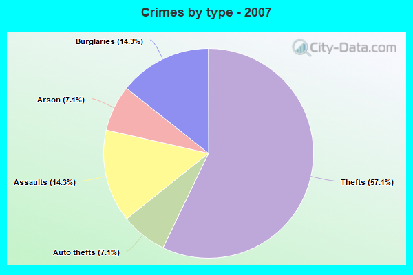 Crimes by type - 2007