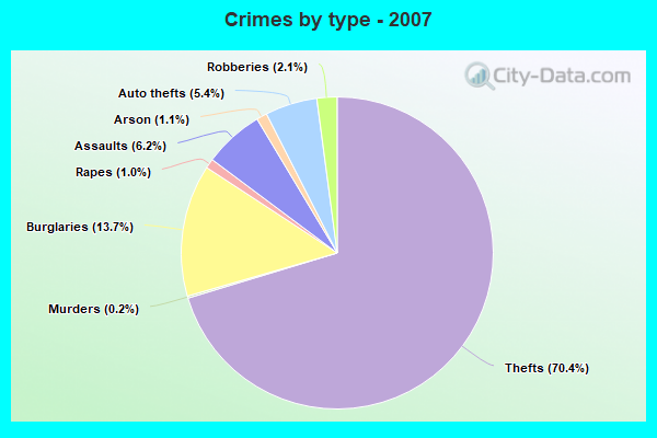 Crimes by type - 2007