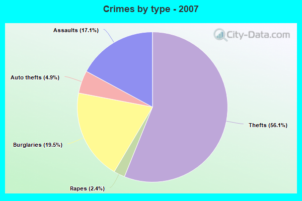 Crimes by type - 2007