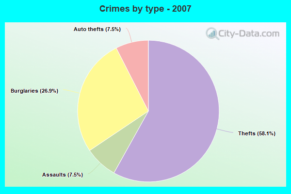 Crimes by type - 2007