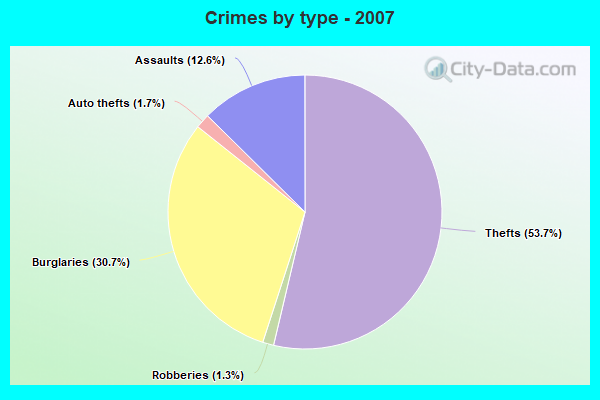 Crimes by type - 2007