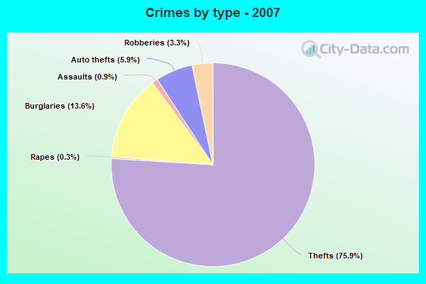 Crimes by type - 2007