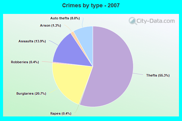 Crimes by type - 2007