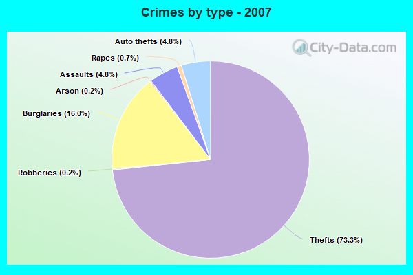 Crimes by type - 2007