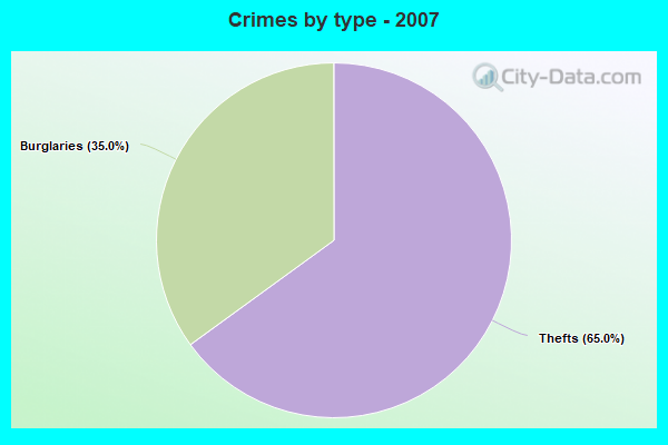 Crimes by type - 2007