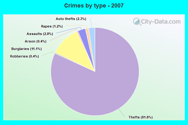 Crimes by type - 2007