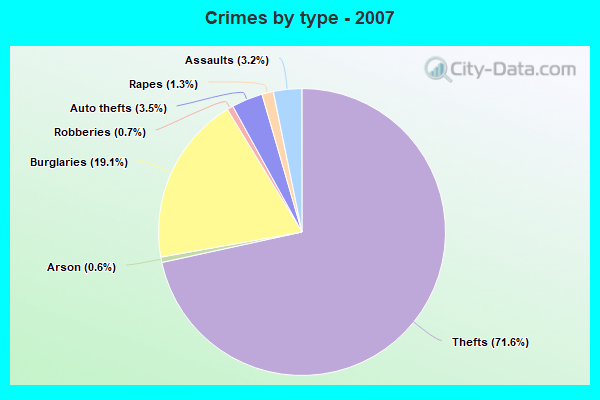 Crimes by type - 2007