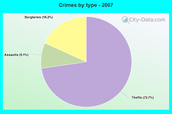 Crimes by type - 2007