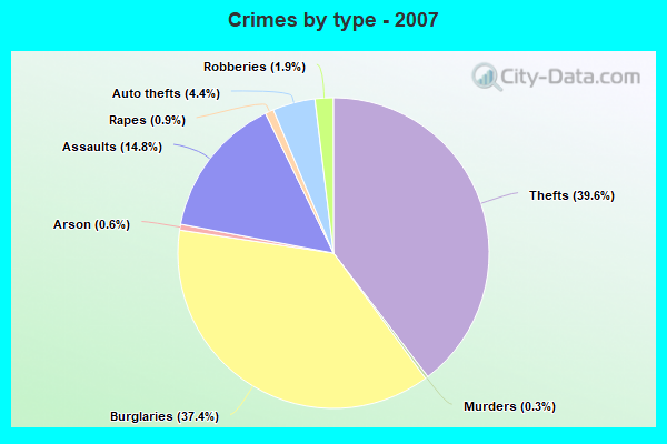 Crimes by type - 2007