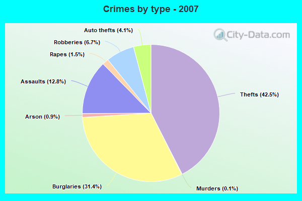 Crimes by type - 2007