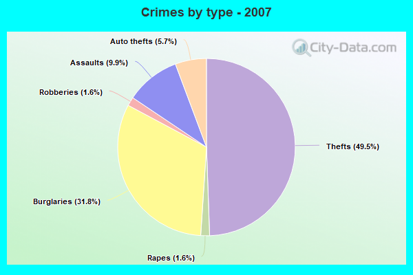 Crimes by type - 2007