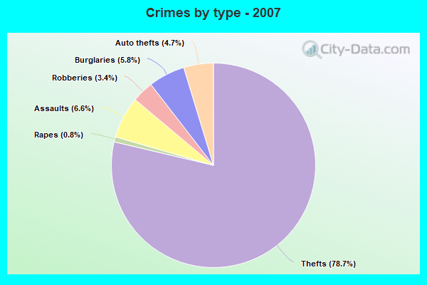 Crimes by type - 2007