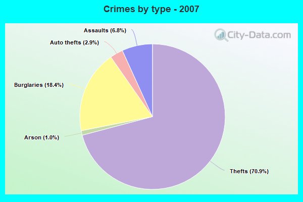 Crimes by type - 2007