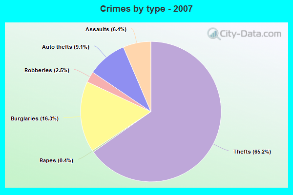 Crimes by type - 2007