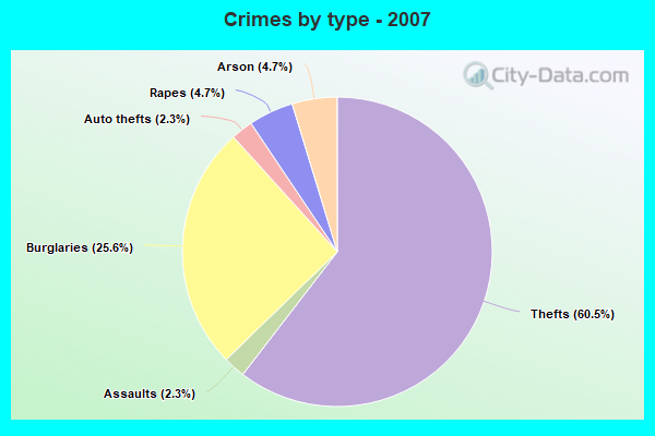 Crimes by type - 2007