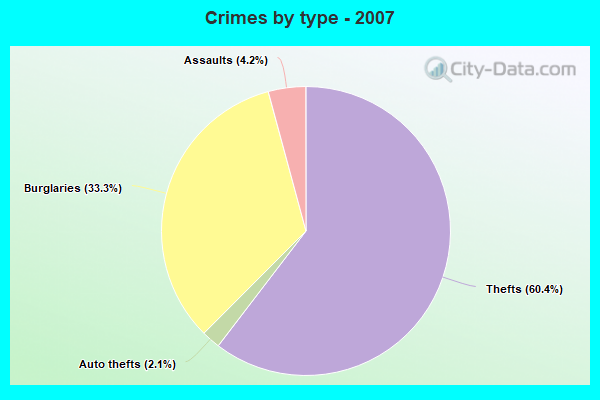 Crimes by type - 2007