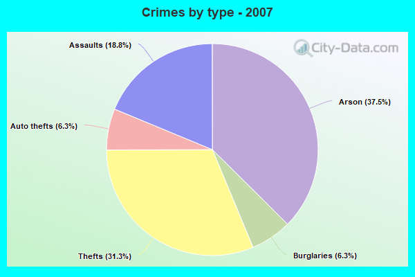 Crimes by type - 2007