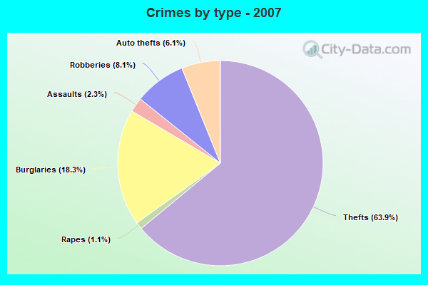 Crimes by type - 2007