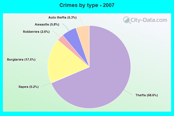 Crimes by type - 2007