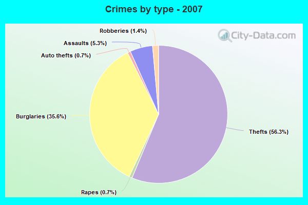 Crimes by type - 2007