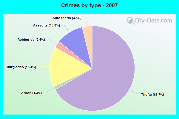 Crimes by type - 2007