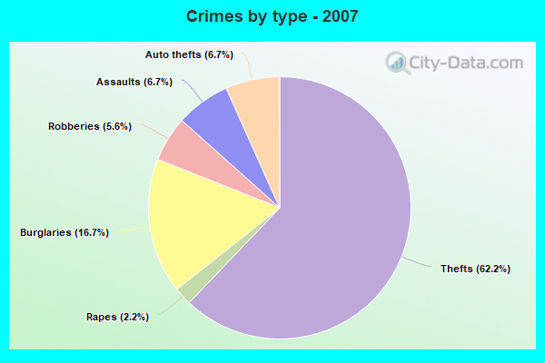 Crimes by type - 2007