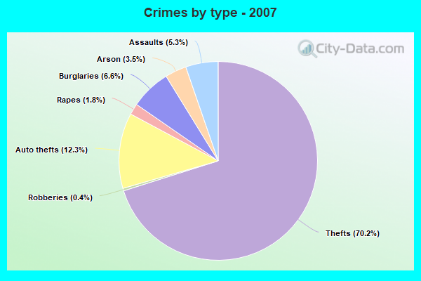 Crimes by type - 2007