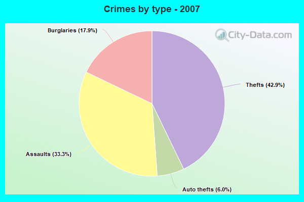 Crimes by type - 2007