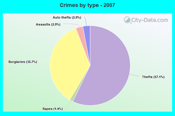 Crimes by type - 2007