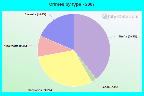 Crimes by type - 2007